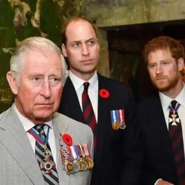 关于英国皇室再陷困境，需要振奋士气的信息