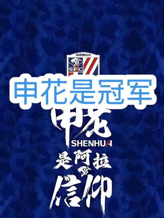 申花进攻火力强劲，与上港大战备受瞩目的简单介绍