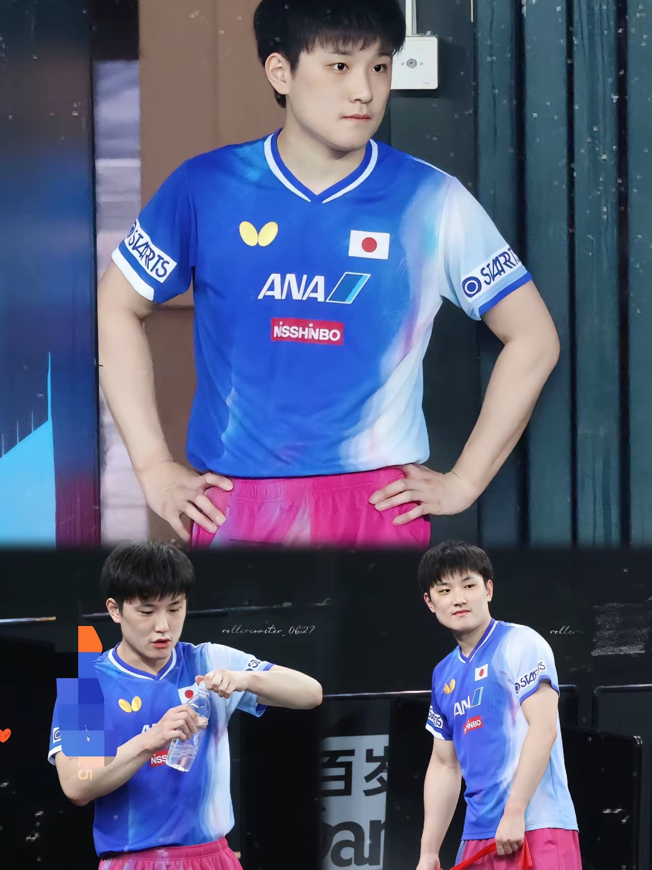 波兰队完胜日本队,张本智和扛起全队的简单介绍 波兰队完胜日本队,张本智和扛起全队的简单介绍