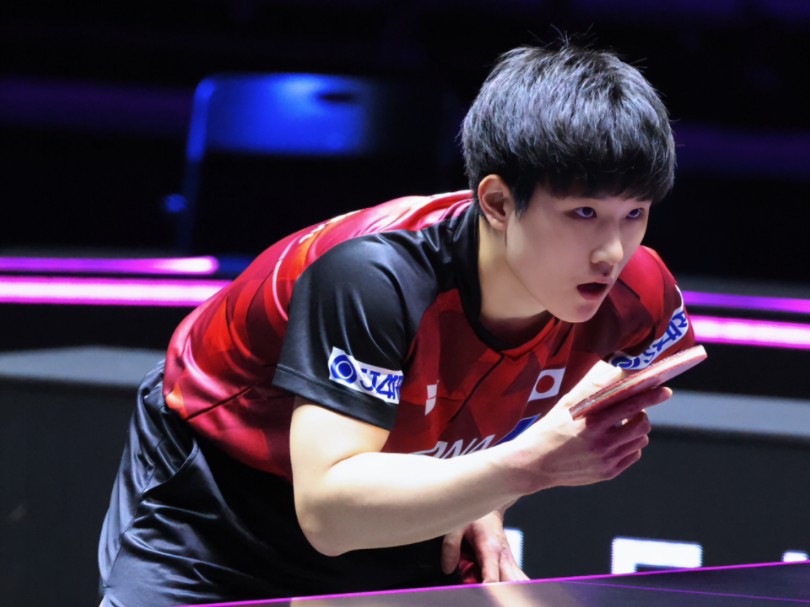 波兰队完胜日本队,张本智和扛起全队的简单介绍 波兰队完胜日本队,张本智和扛起全队的简单介绍